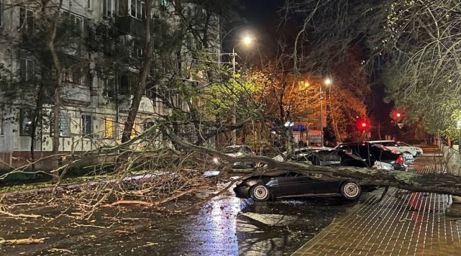 Как в Керчи ликвидируют последствия урагана