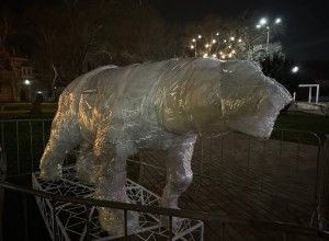 Полиция Керчи ищет  вандала, сломавшего белого медведя