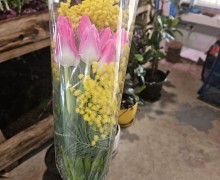   Весна в Керчи: тысячи тюльпанов к 8 марта от местного предпринимателя!