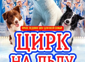   ВПЕРВЫЕ В КЕРЧИ!    Цирк на Льду Северное сияние с яркой ледовой шоу-программой для всей семьи!  ‍ 