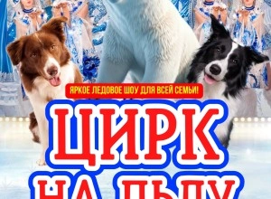   ВПЕРВЫЕ В КЕРЧИ!    Цирк на Льду Северное сияние с яркой ледовой шоу-программой для всей семьи!  ‍ 