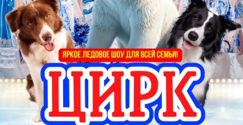   ВПЕРВЫЕ В КЕРЧИ!    Цирк на Льду Северное сияние с яркой ледовой шоу-программой для всей семьи!  ‍ 