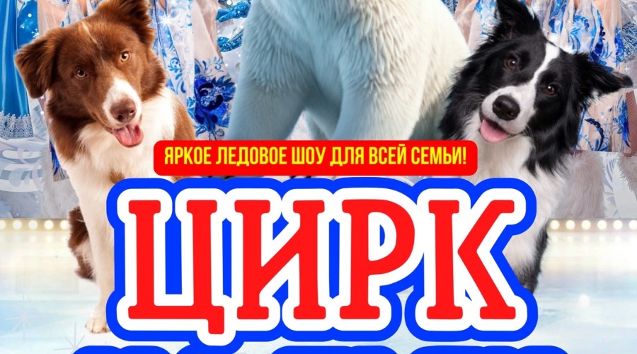   ВПЕРВЫЕ В КЕРЧИ!    Цирк на Льду Северное сияние с яркой ледовой шоу-программой для всей семьи!  ‍ 