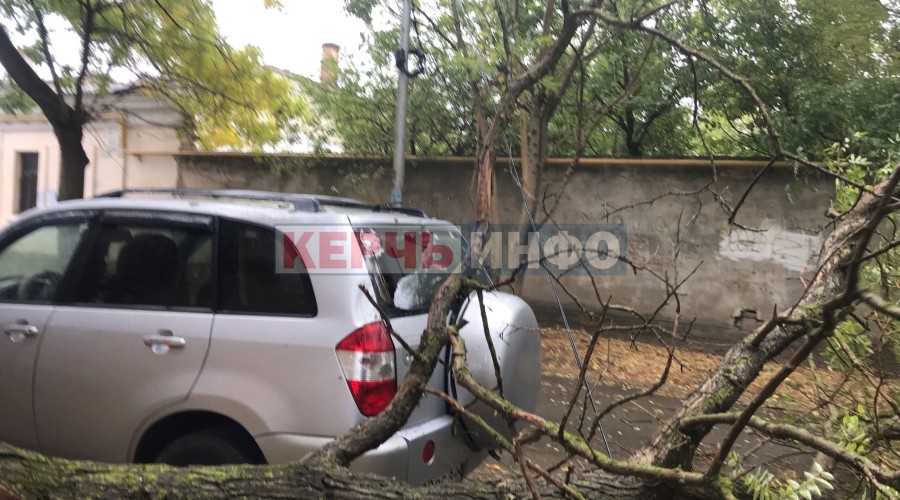 В Керчи дерево упало на автомобиль!