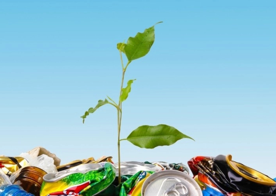 Сколько мусора производит один человек?